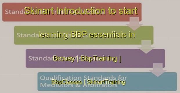 Skinart Introduction to start learning BBP essentials in Brouay | BbpTraining | BbpClasses | SkinartTraining-France